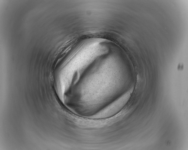 X0000091470048200709061827