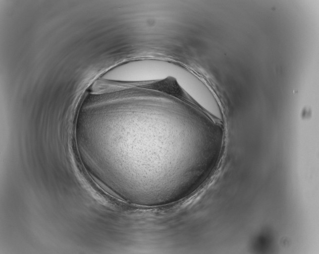 X0000091470049200709061826