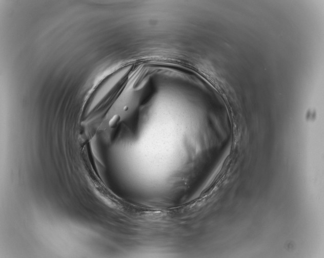 X0000091470050200709061826