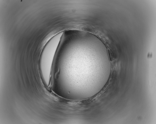 X0000091470051200709061826