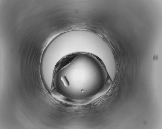 X0000091470052200709061826