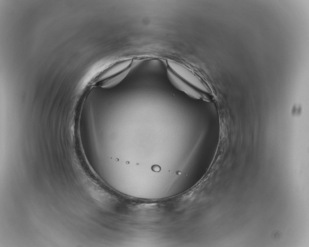 X0000091470054200709061826