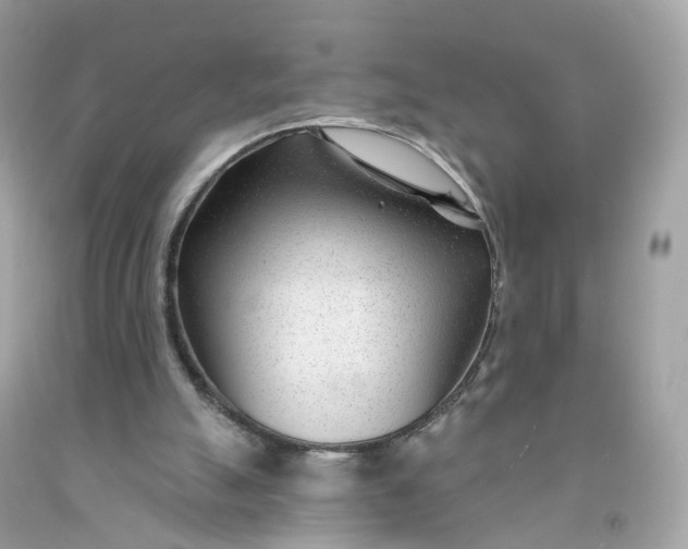 X0000091470055200709061826