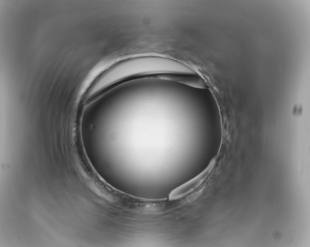 X0000091470056200709061826