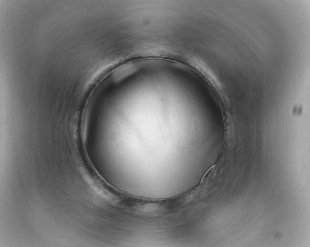 X0000091470058200709061826