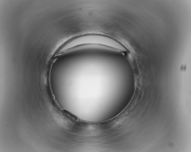 X0000091470060200709061826