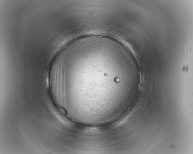 X0000091470061200709061826