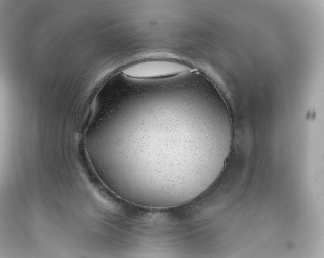 X0000091470063200709061826