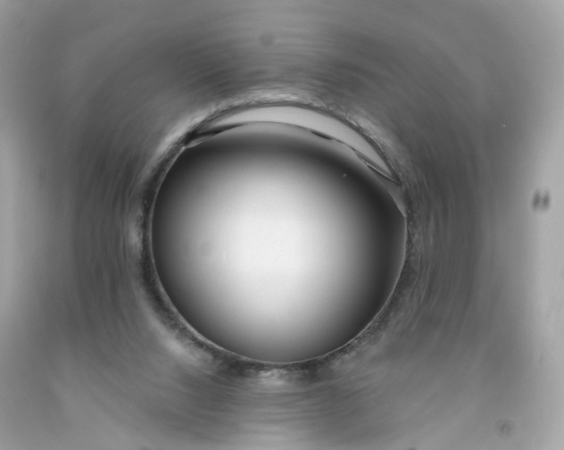 X0000091470064200709061826