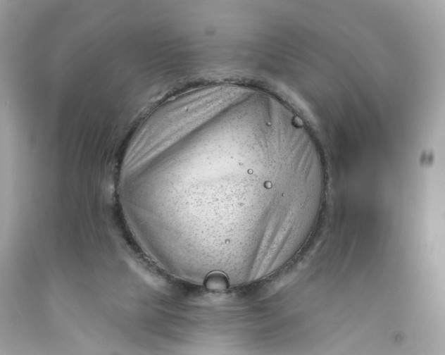 X0000091470065200709061826