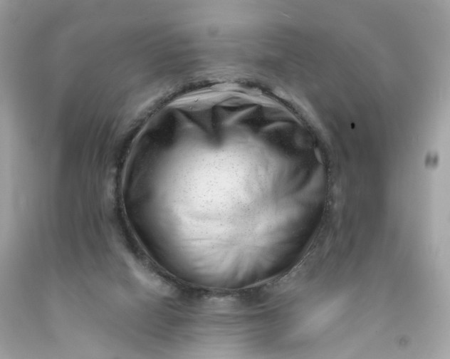 X0000091470066200709061826