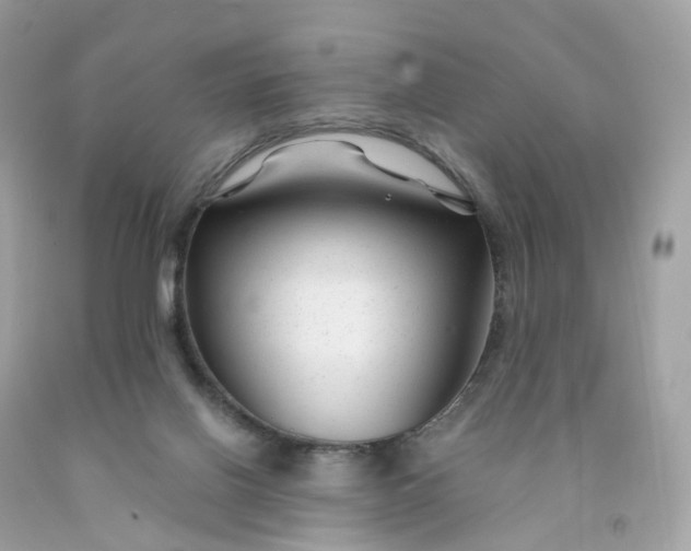 X0000091470070200709061827