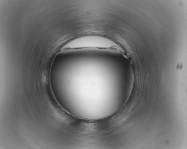 X0000091470071200709061827