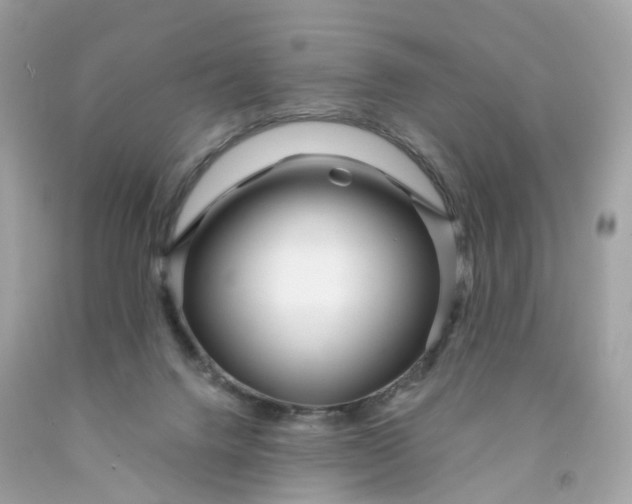 X0000091470072200709061827