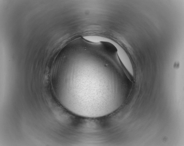 X0000091470073200709061827