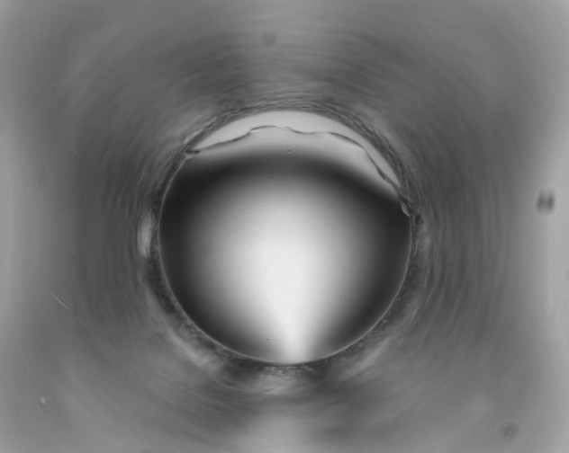 X0000091470076200709061827