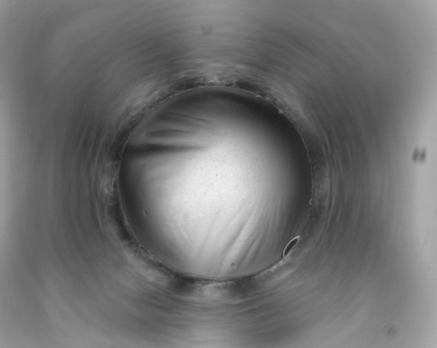 X0000091470078200709061827