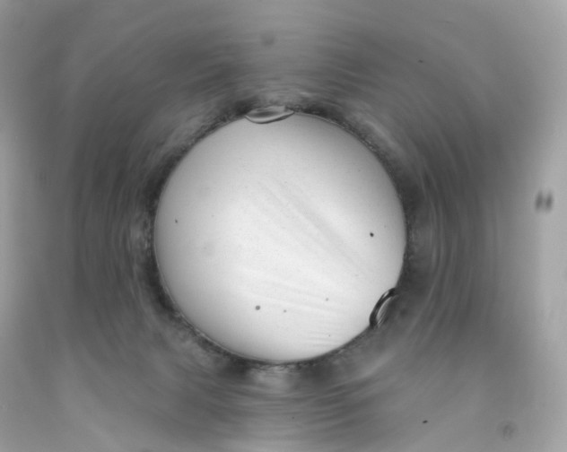 X0000091470079200709061827