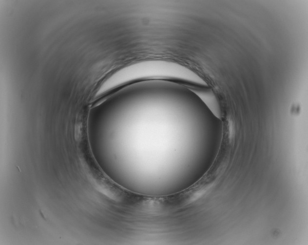 X0000091470080200709061827