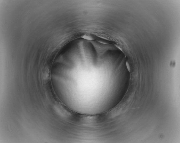 X0000091470081200709061827