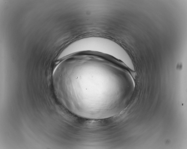 X0000091470082200709061827