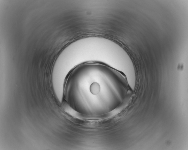 X0000091470084200709061827