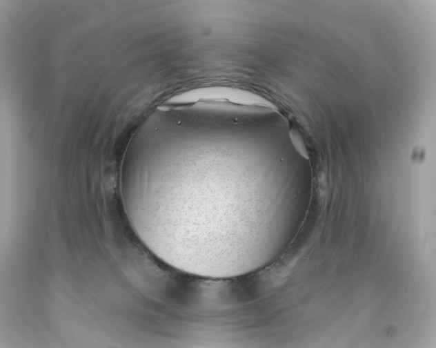 X0000091470085200709061827