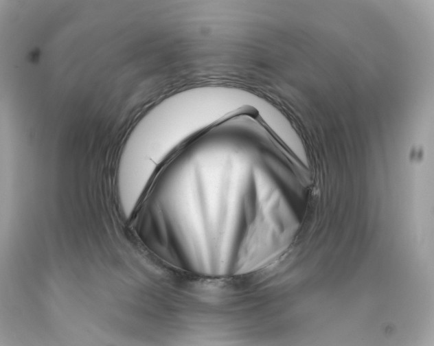 X0000091470086200709061827