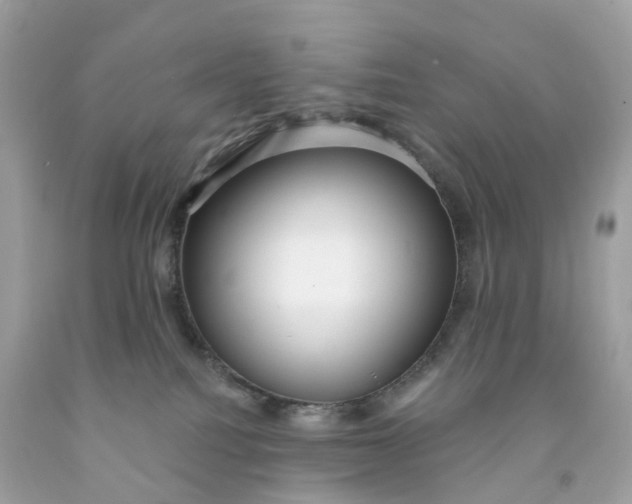 X0000091470088200709061827