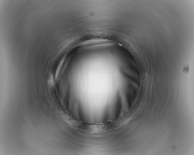 X0000091470089200709061827