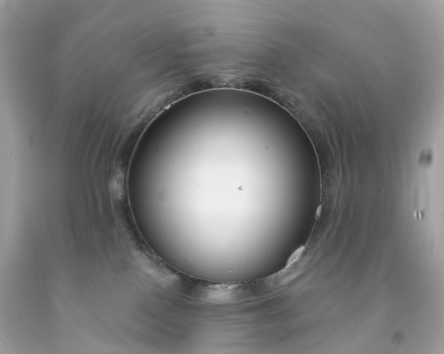 X0000091470090200709061827