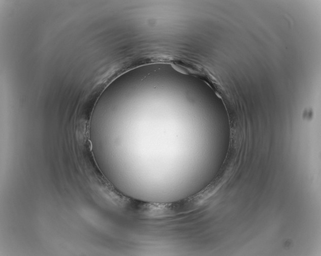 X0000091470093200709061827