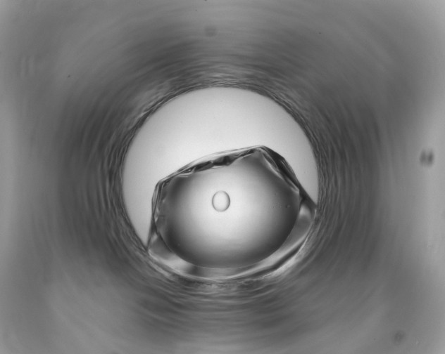 X0000091470094200709061827