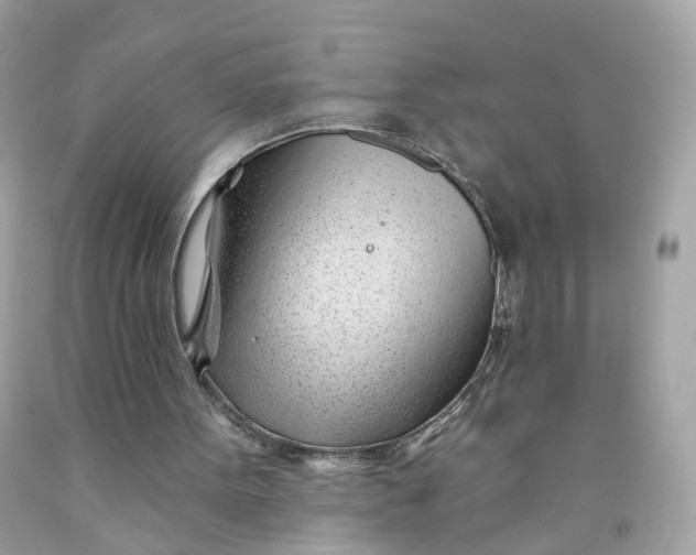 X0000091470099200709061826