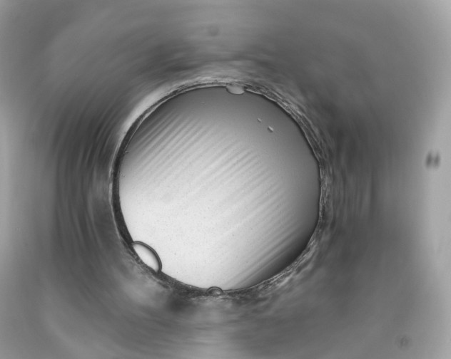 X0000091470100200709061826