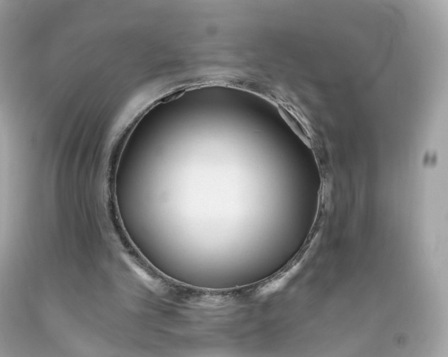 X0000091470101200709061826