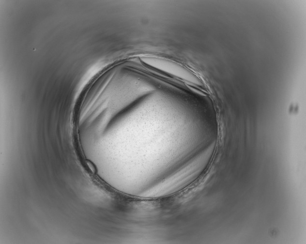 X0000091470102200709061826