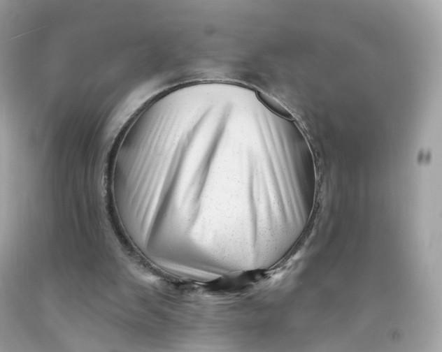 X0000091470103200709061826