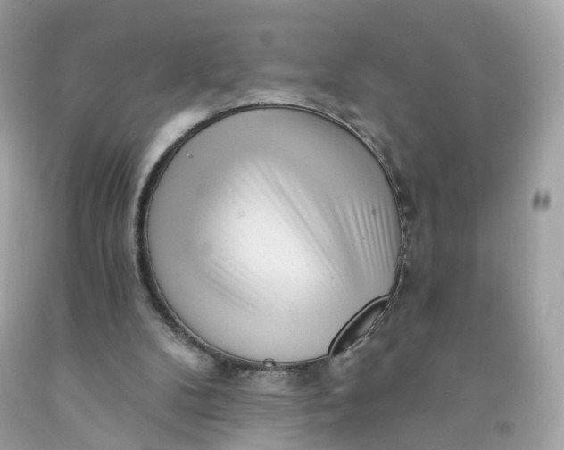 X0000091470104200709061826