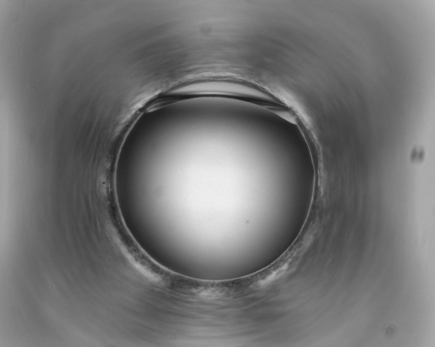 X0000091470105200709061826