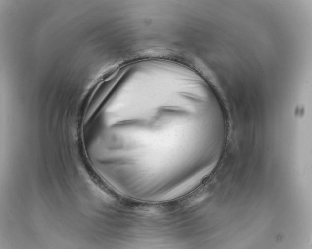 X0000091470106200709061826