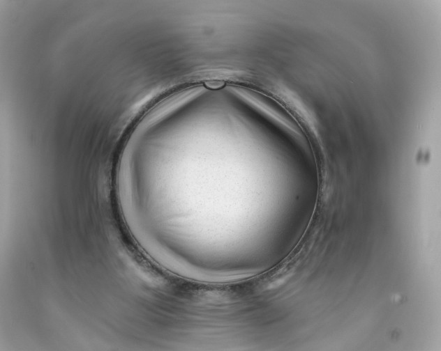 X0000091470107200709061826