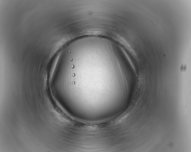 X0000091470110200709061826