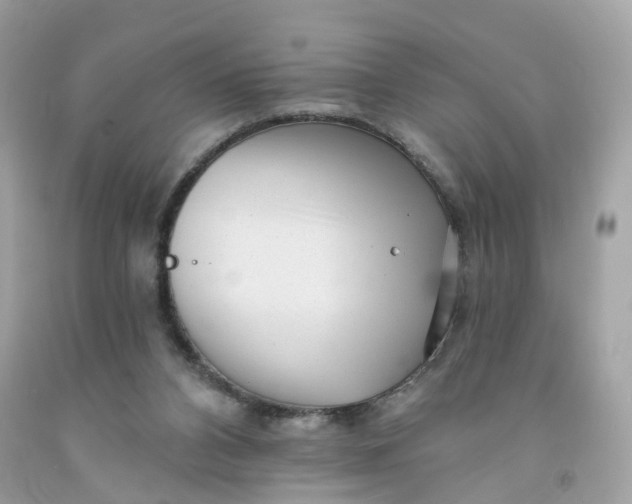 X0000091470112200709061826