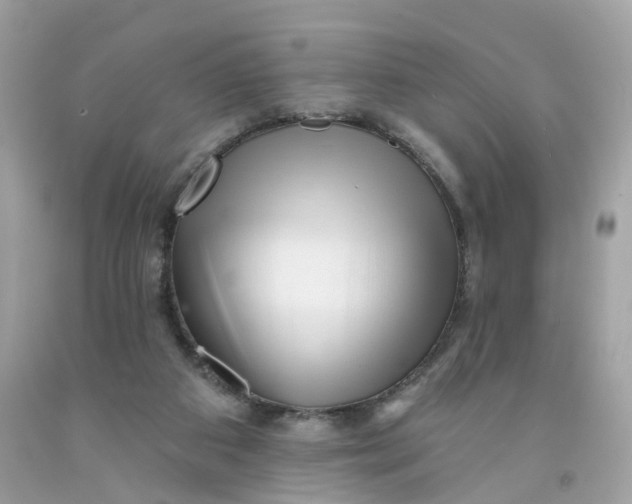 X0000091470113200709061826