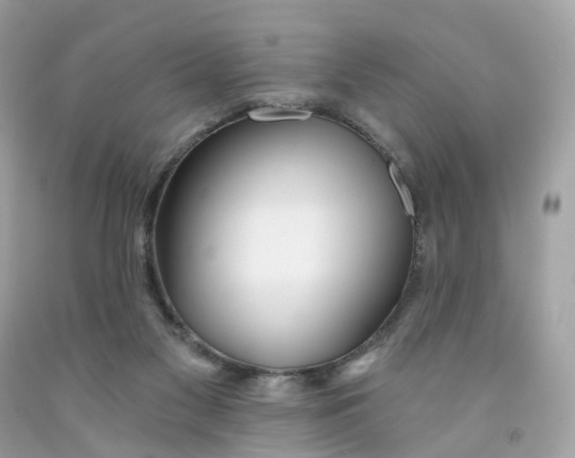 X0000091470117200709061826