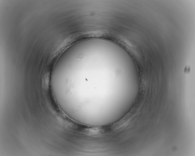 X0000091470118200709061826