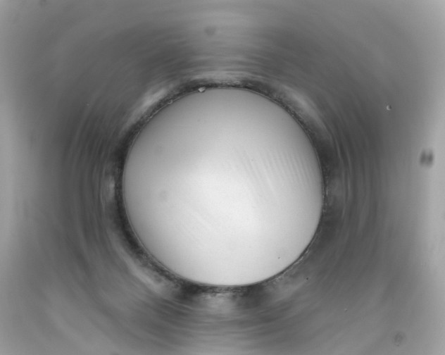 X0000091470120200709061826