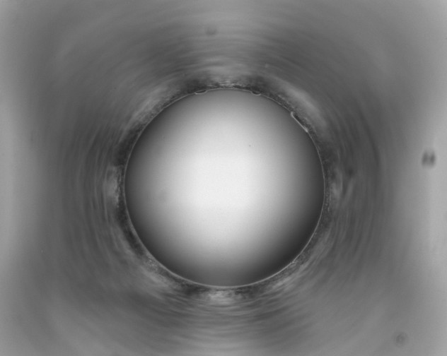 X0000091470121200709061826