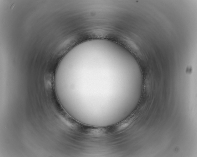 X0000091470122200709061826